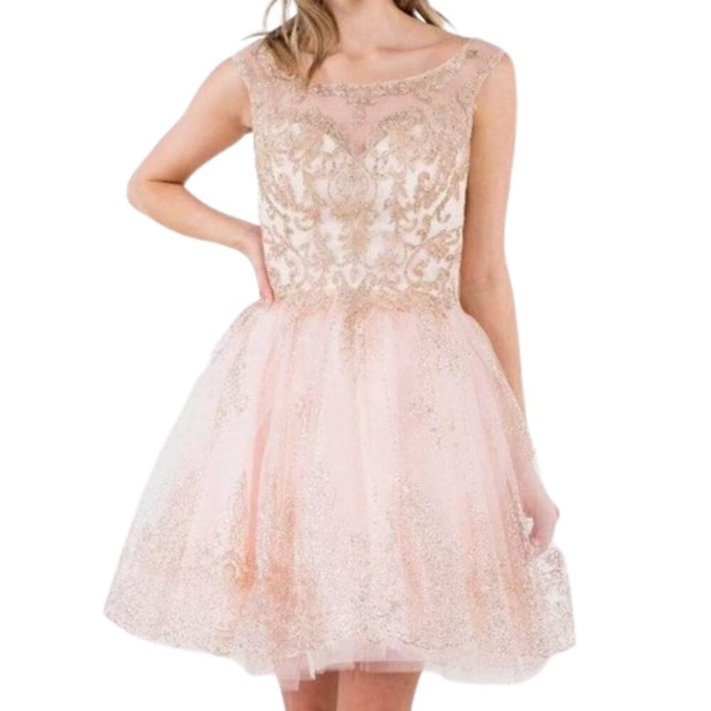 NWT Elizabeth K GS1964 Mesh Cocktail Dress Pink Size 2XL